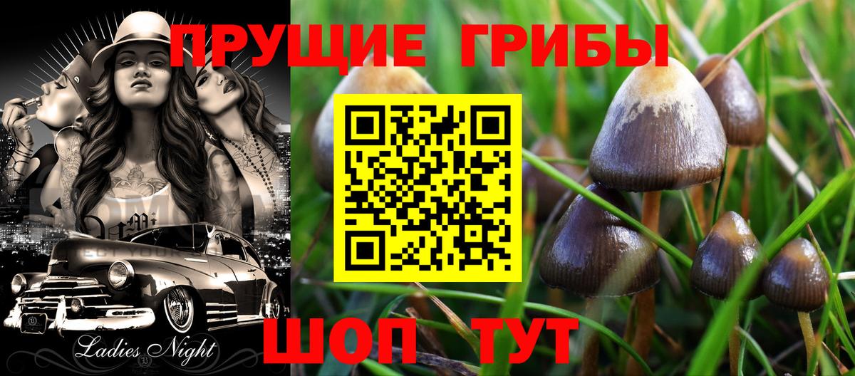 Галлюциногенные грибы прущие грибы Чернушка