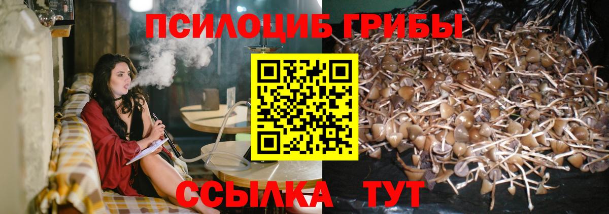 Галлюциногенные грибы ЛСД  Галлюциногенные грибы прущие грибы  Вход с VPN  Чернушка 