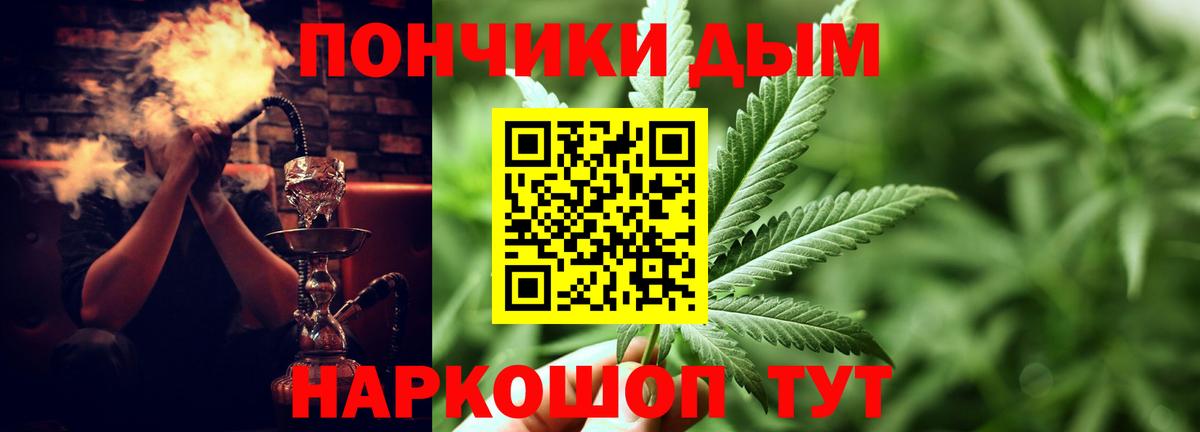 Каннабис планчик  Бошки Шишки семена  Вход с VPN  Чернушка  Бошки Шишки SATIVA & INDICA  Канабис семена 